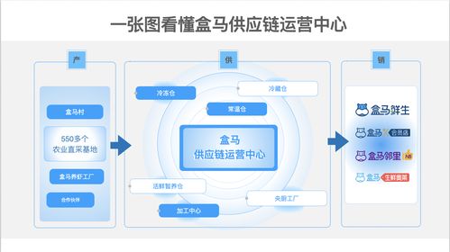 盒马两大新型供应链中心投产 数字化赋能冷链物流新篇章